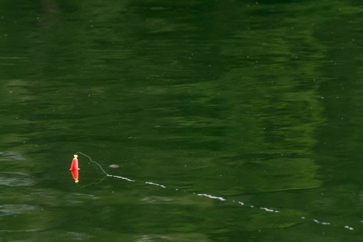 Bobber reflection in the lake