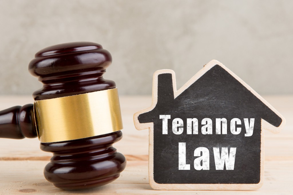 Local landlord tenant laws in Virginia