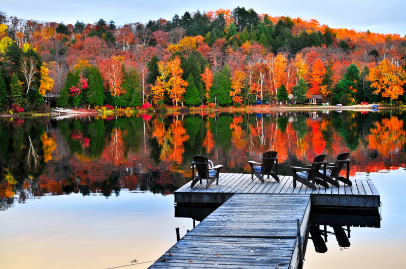 Autumn lake