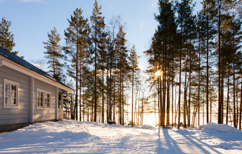 Winter lake in forest