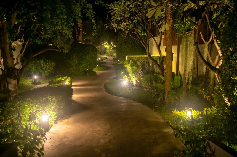 Pathway at Night