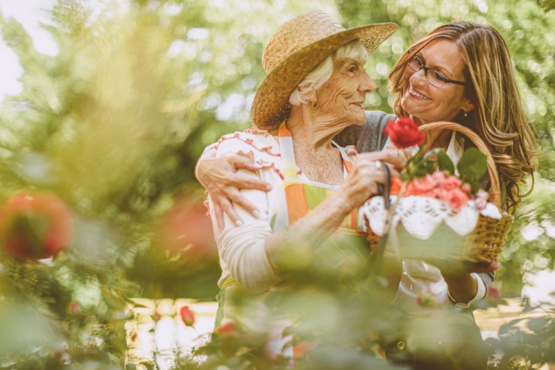 people picking flowers