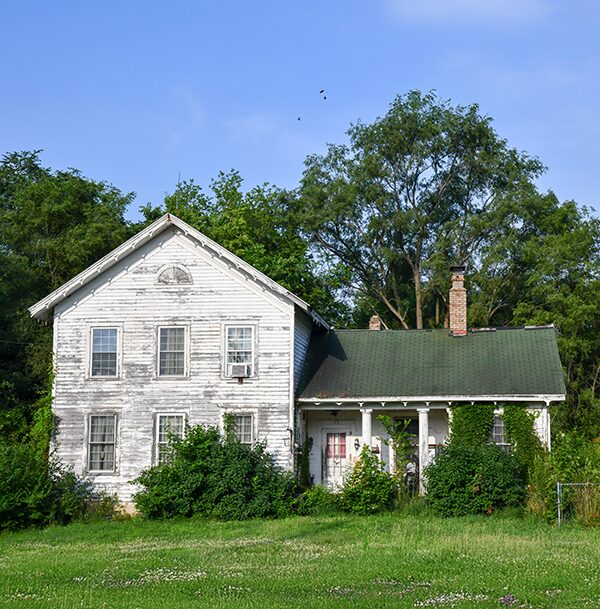 Blog Image